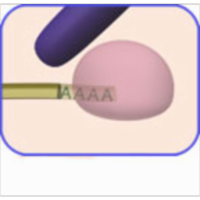 mRNA Processing--Tutorial and Animation icon