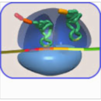 Translation--Tutorial and Animation icon