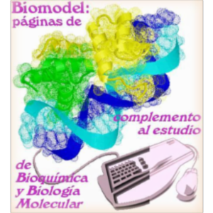 Biomodel-3: Structural Biochemistry for Secondary School icon