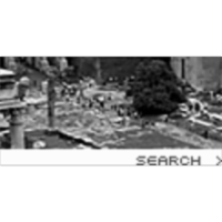 Digital Roman Forum icon