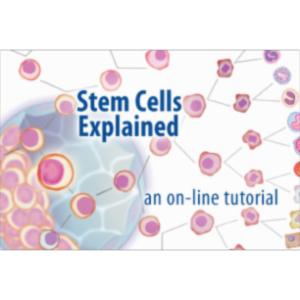 Stem Cells Explained icon