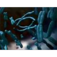 Mendelian Inheritance and Selfish Elements