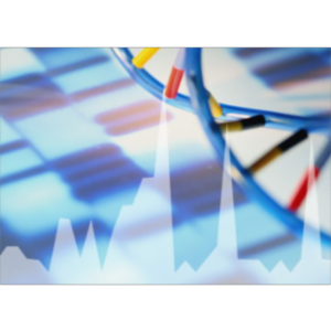 Essentials of Probability and Statistical Inference IV: Algorithmic and NonParametic Approaches