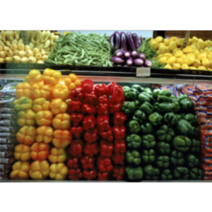 Food and Nutrition Policy icon