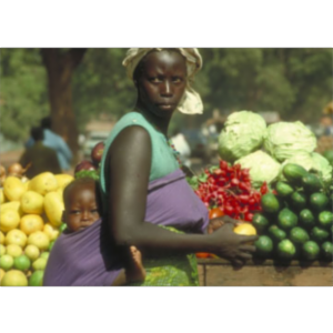 International Nutrition icon