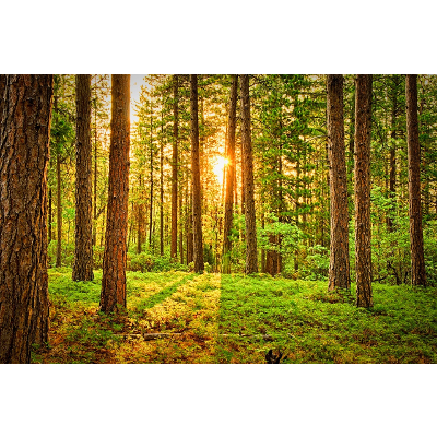 The Habitable Planet icon