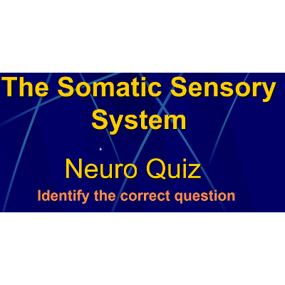 The Sensory System: Quiz Game icon