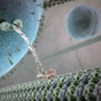 Introduction to Nanoscience