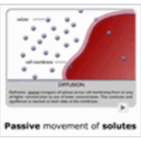 Movement of Fluid in the Cellular Compartments