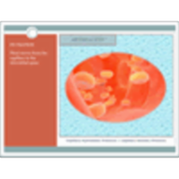 Inside the Body:  Fluid Pressures and Processes icon