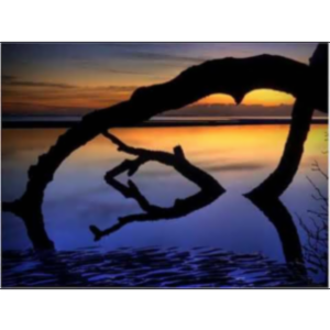 Annotations and Abstracts icon