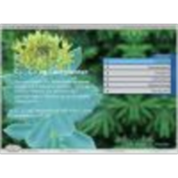 C3, C4 and CAM plants icon