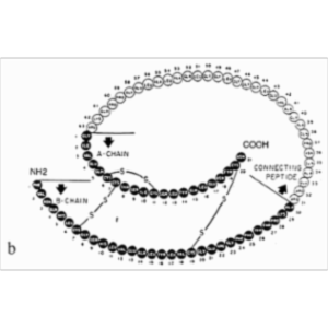 Diabetes Manager icon