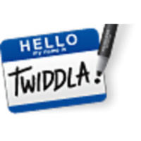 TWIDDLA Web Based Meeting Playground