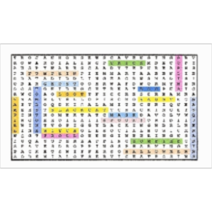 Computer Fraud Word Search icon