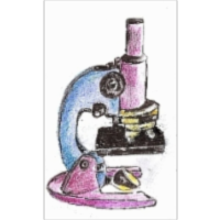 Inventory Costing Methods (Periodic Inventory System) icon