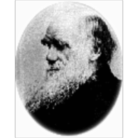 צ'רלס דארווין icon