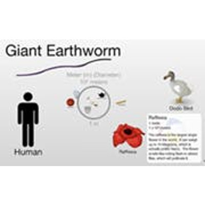 The Scale of the Universe icon
