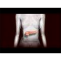 Diabetes Overview icon