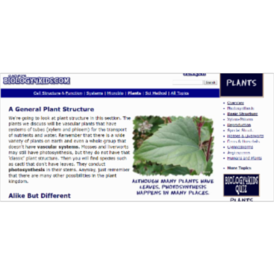 Biology4Kids.com: Plants: Basic Structure icon