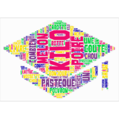 Vocabulaire et expressions icon