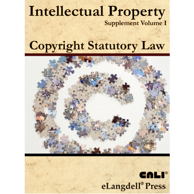 United States Copyright Law icon