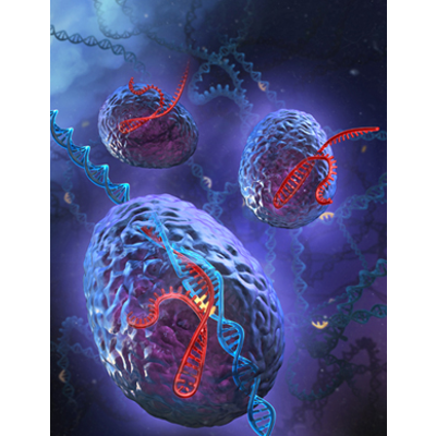 Questions and Answers about CRISPR