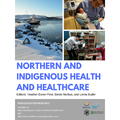 Northern and Indigenous Health and Healthcare icon