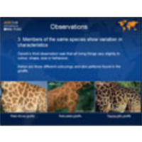 Darwin and Natural Selection icon