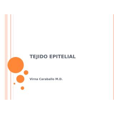 tejido epitelial icon