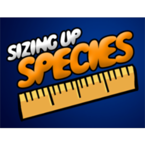 Sizing Up Species
