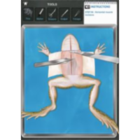 Frog Dissection App for iPad icon