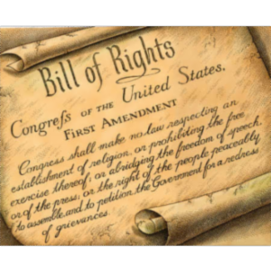 Bill of Rights ID Lesson Plan icon