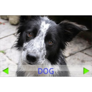 Toddler Tapping Zoo App for Android