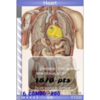 Speed Anatomy Quiz App for Android