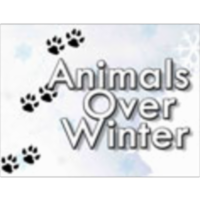 Animals Over Winter