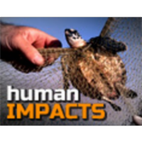 Human Impacts on the Environment for 11-14 year olds icon