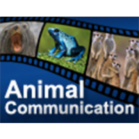Animal Communication icon