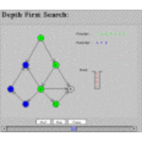 Depth First Search