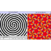 Optical Illusion Counter-Rotating Spirals (Human Perception)