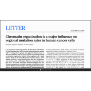 Papers App for iOS icon