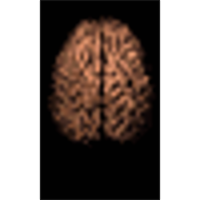Sheep Brain Dissection icon
