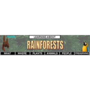 Learning About Rain Forests