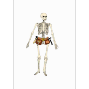 Master Muscle List icon