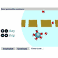 Semi-permeable Membrane