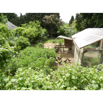 Introduction to Permaculture icon