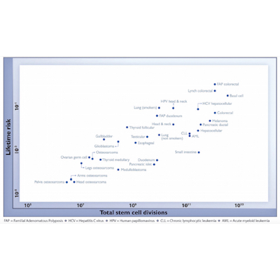 Cell Division and Cancer Risk icon