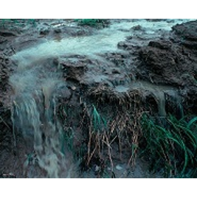 Environmental Science (Freedman)