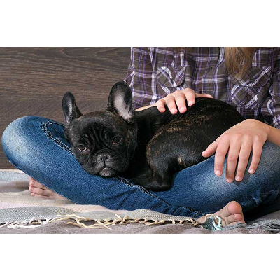 Authentic Emotional Support Animal (ESA) Letter Samples From Real Doctors icon