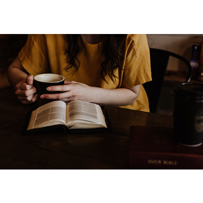 Literature, Critical Thinking, & Writing icon